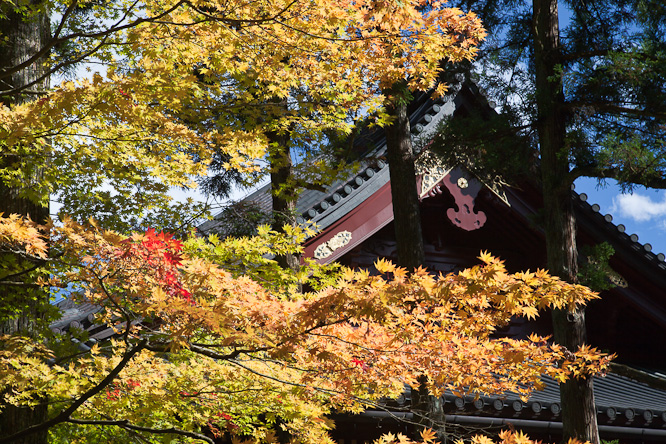 Fotografie aus der Serie »Japan«