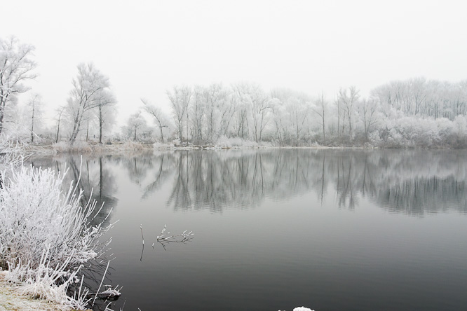 Fotografie aus der Serie »Local Nature Reserves«