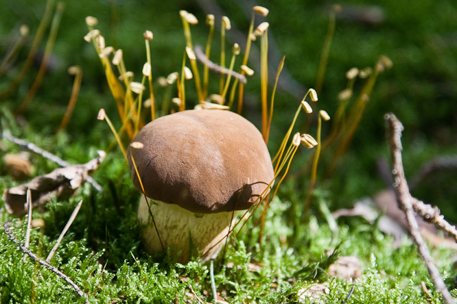 Fotografie aus der Serie &raquo;Local Impressions&laquo;