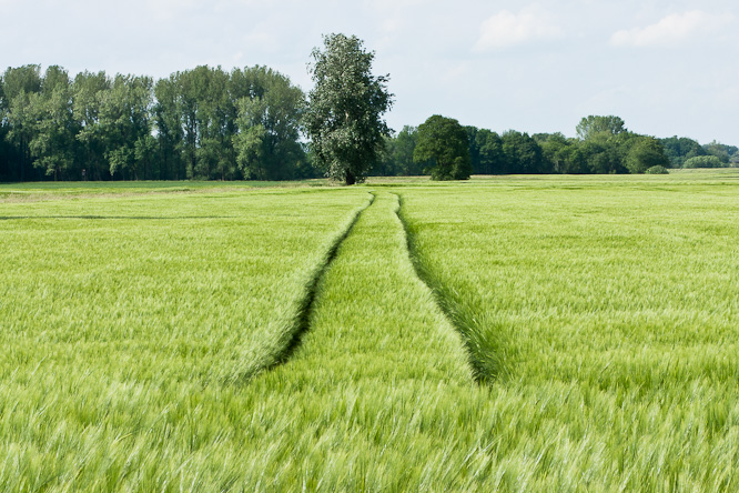 Fotografie aus der Serie &raquo;Local Impressions&laquo;