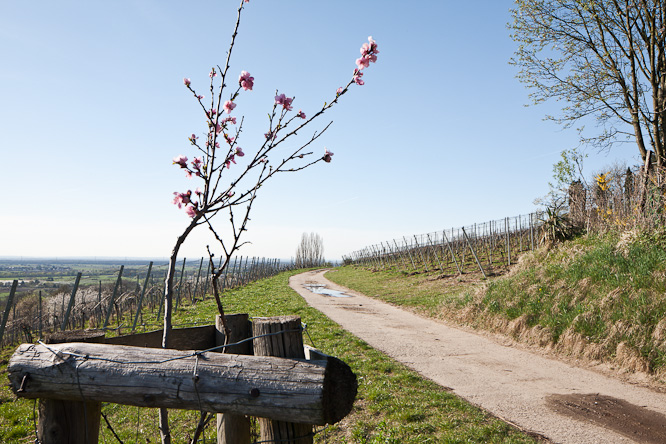 Fotografie aus der Serie &raquo;Local Impressions&laquo;