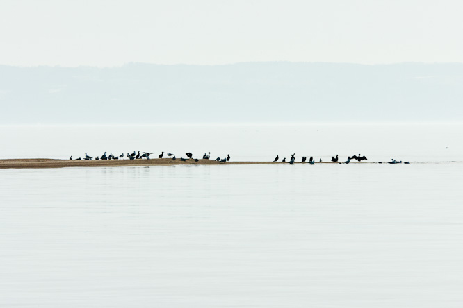 Fotografie aus der Serie »Sea«