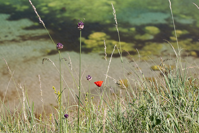 Fotografie aus der Serie »Sea«