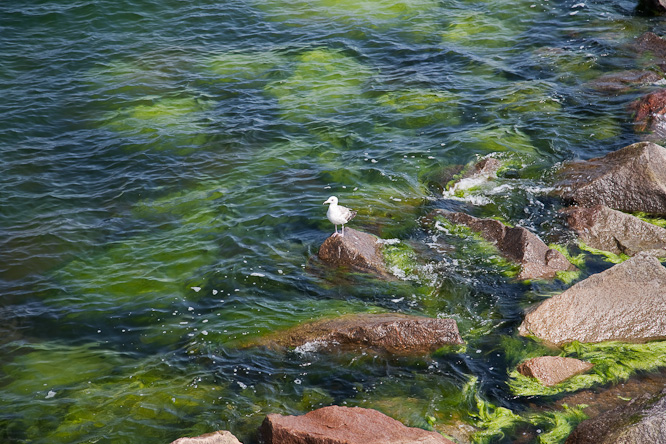 Fotografie aus der Serie »Sea«