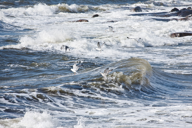 Fotografie aus der Serie »Sea«