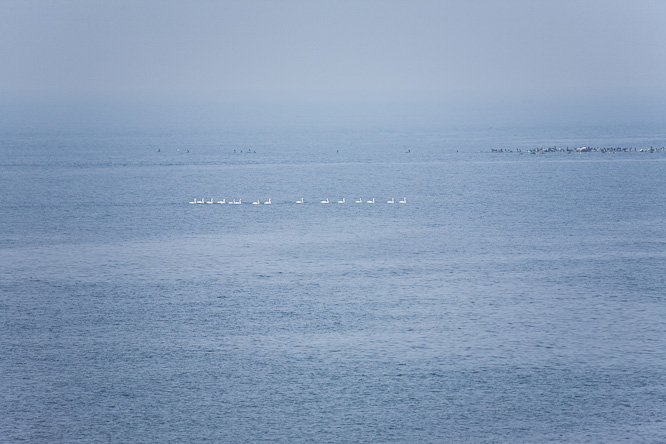 Fotografie aus der Serie »Sea«