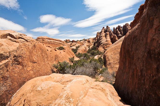 Fotografie aus der Serie &raquo;USA National Parks&laquo;
