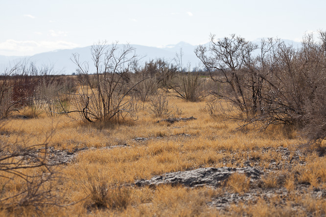 Fotografie aus der Serie »USA National Parks«