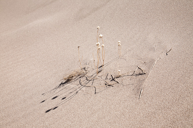 Fotografie aus der Serie »USA National Parks«