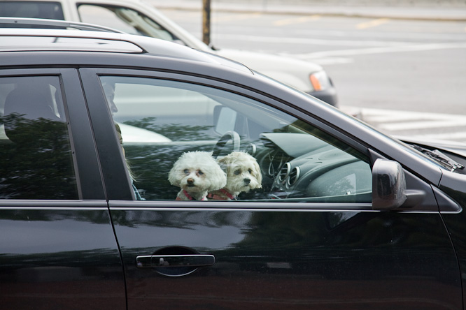 Fotografie aus der Serie »USA Cities«