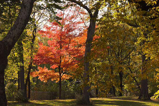 Fotografie aus der Serie »USA Cities«